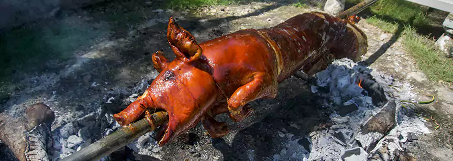 cebu lechon