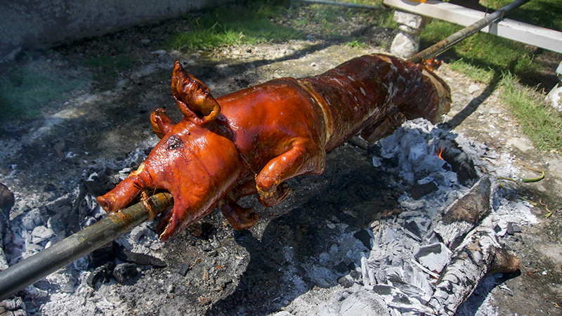 cebu lechon - lechon de cebu 800x450px